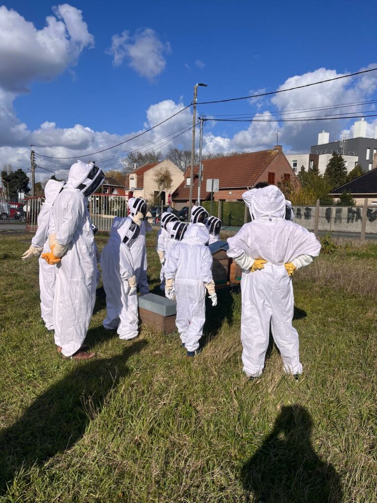 rucher école faches thumesnil